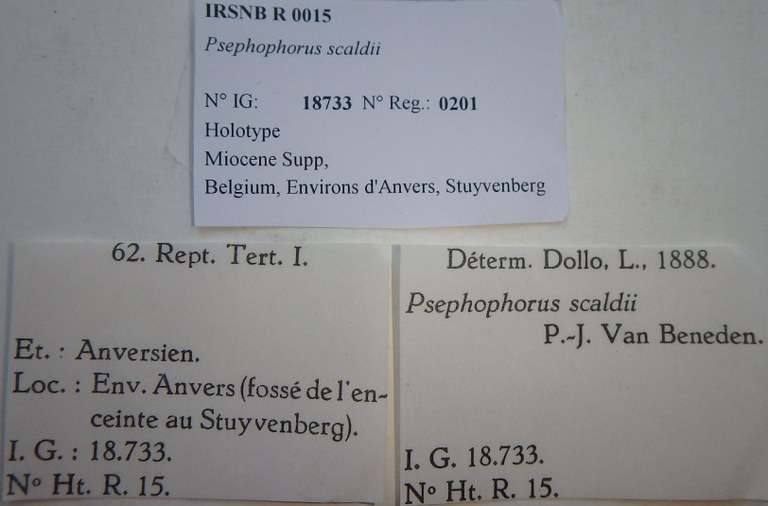 IRSNB R 0015 Labels
