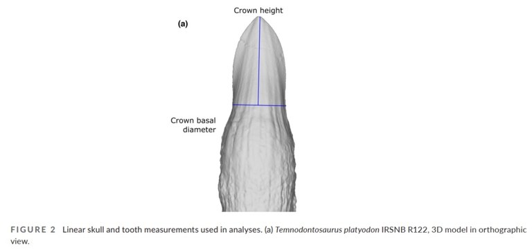 IRSNB R 0122 publi 2