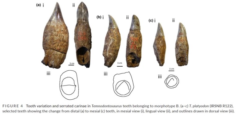 IRSNB R 0122 publi 3