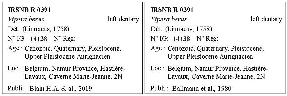 IRSNB R 0391 Labels