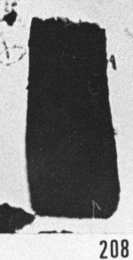 Fig. 208 - Conochitina robusta Eisenack. —150,50 m. b 355