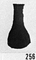 Fig. 256 - Ancyrochitina ancyrea (Eisenack); appendices brisés; épines sur le tube oral. —162,60 m. b 348.