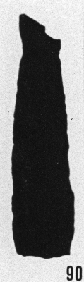Fig. 90 - Cyatochitina fusiformis Bouché. —175,50 m. b 411.