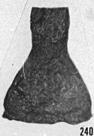 Fig. 240 - Cyatochitina novempopulanica Taugourdeau; lumières transmise et réfléchie. — 167,50 m. b 331.