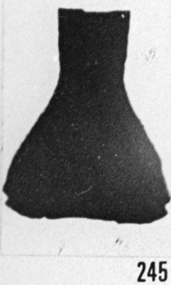 Fig. 245 - Cyatochitina novempopulanica Taugourdeau. -167,50 m, b 336 