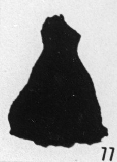 Fig. 77 - Cyatochitina sp. —175,50 m. b 414