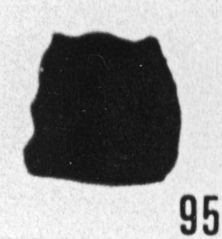 Fig. 95 - Desmochitina minor f. cocca Eisenack. —175,50 m. b 414. 