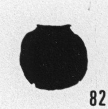 Fig. 82 - Desmochitina minor f. cocca Eisenack. —175,50 m. b413.