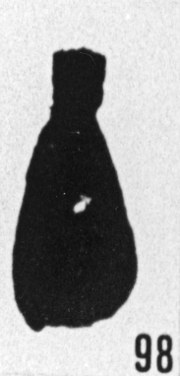 Fig. 98 - Lagenochitina aff. lata Taugourdeau et de Jekhowsky. -175,50 m. b 414.