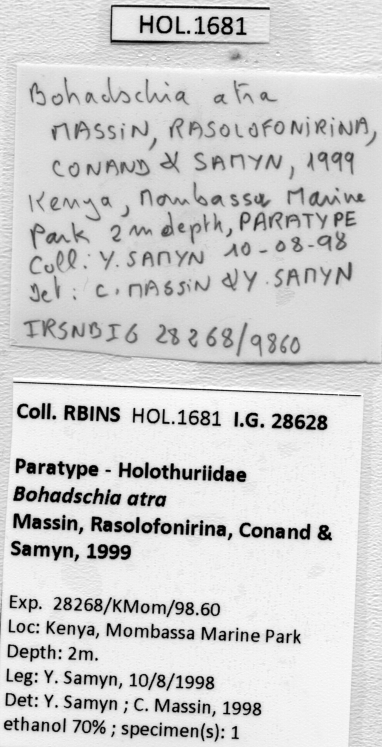 BE-RBINS-INV PARATYPE HOL.1681 Bohadschia atra labels.jpg