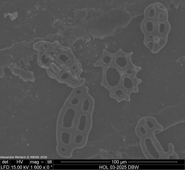 HOL 03-2025 DBW_020.jpg