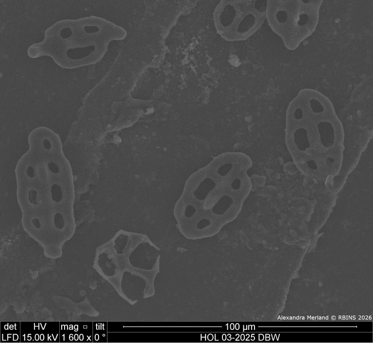 HOL 03-2025 DBW_040.jpg