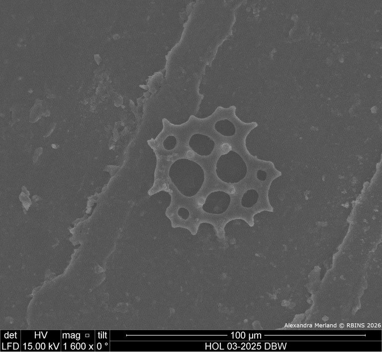 HOL 03-2025 DBW_107.jpg