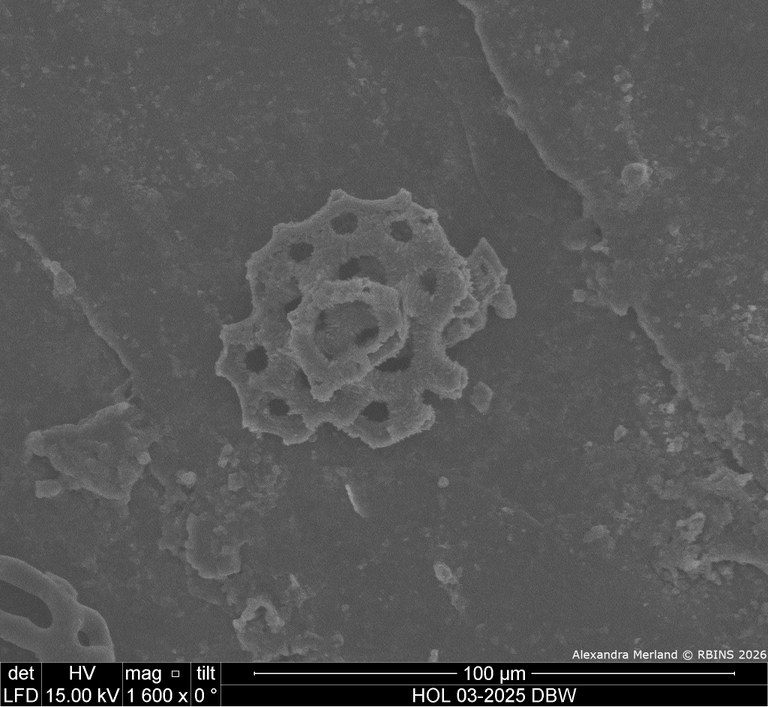 HOL 03-2025 DBW_120.jpg