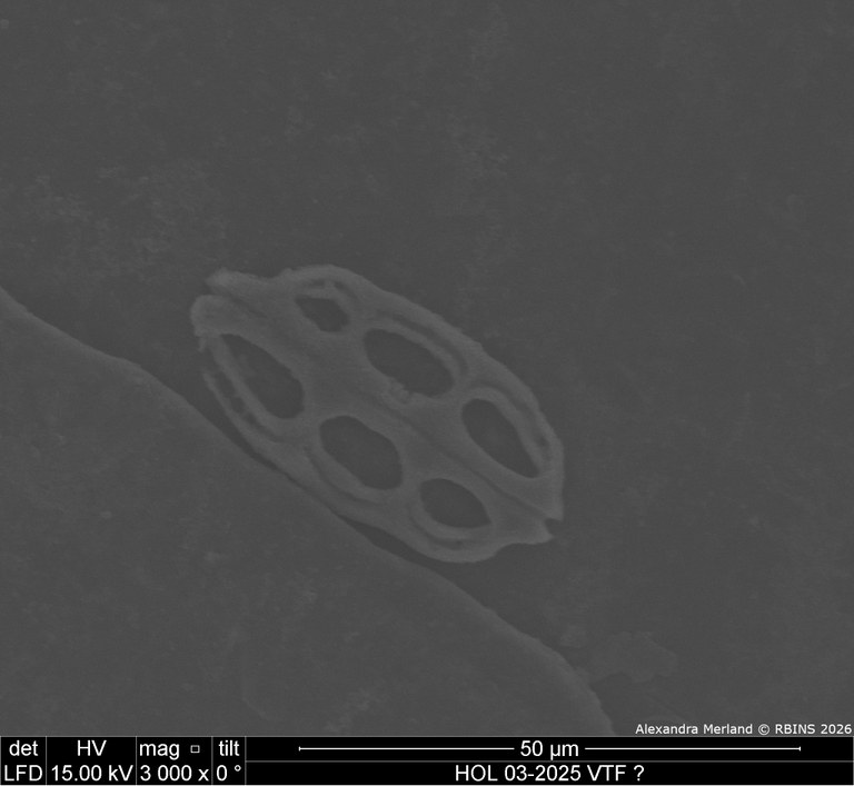 HOL 03-2025 VTF_047.jpg