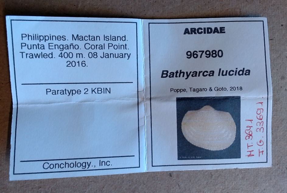 MT 3641 Bathyarca lucida Labels 1