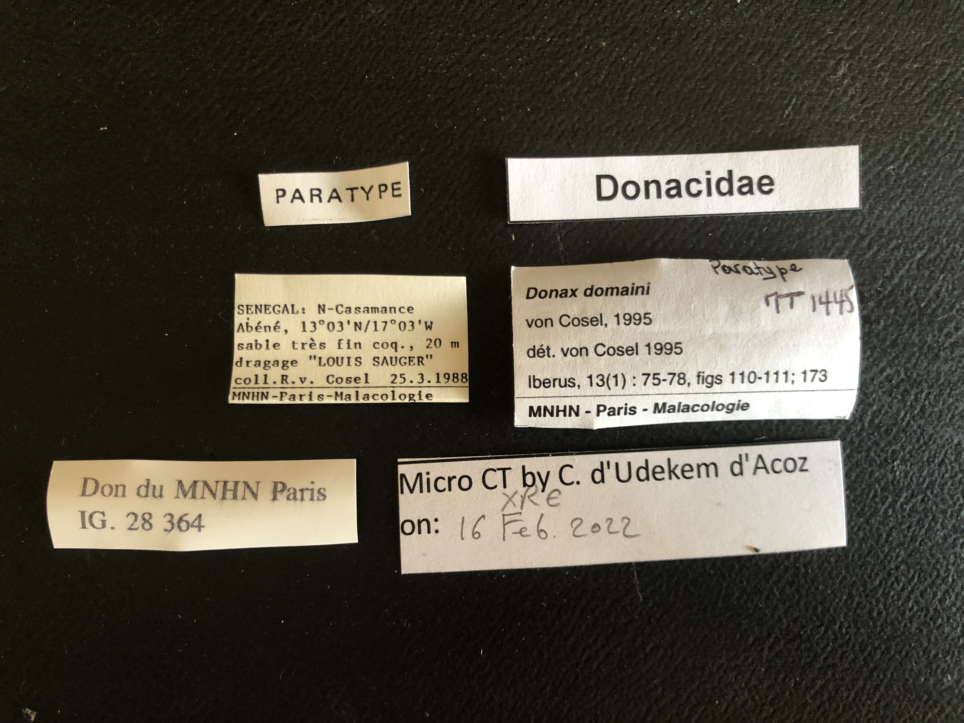 MT 1445 Donax domaini Labels