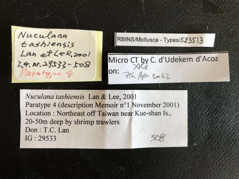 MT 508 Nuculana tashiensis Labels