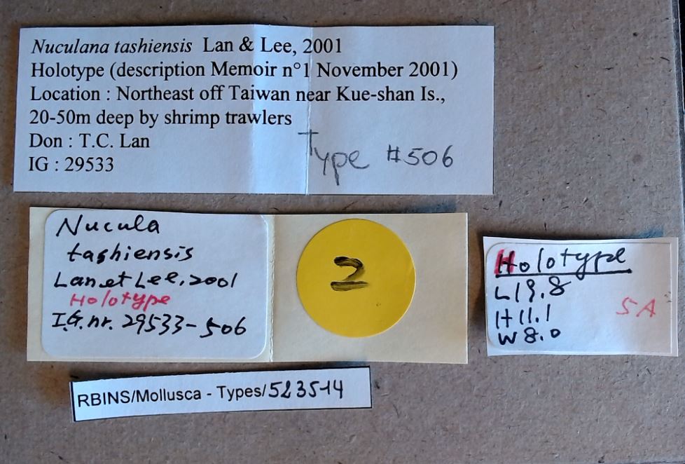 MT 506 Nuculana tashiensis Labels