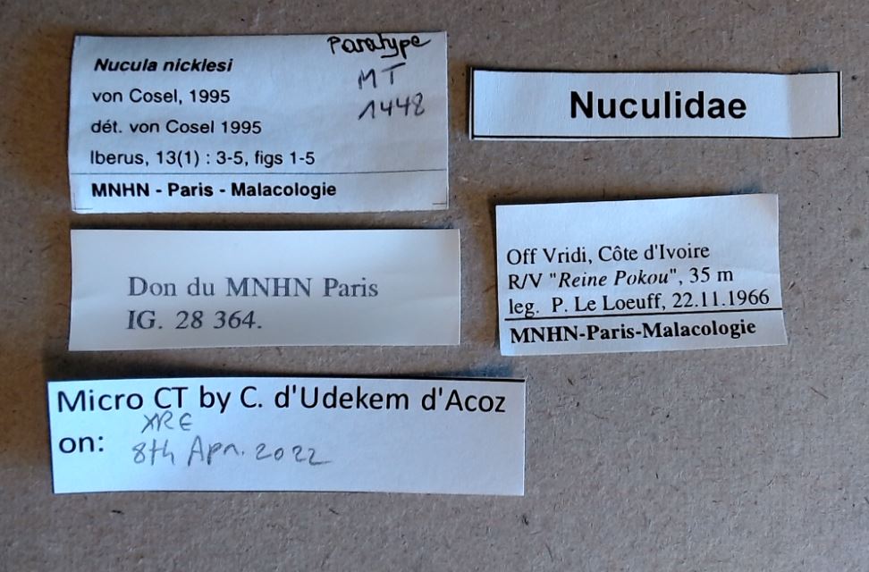 MT 1448 Nucula nicklesi Labels