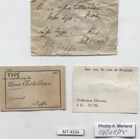 BE-RBINS-INV-MT-4154-Unio-lhotelleriei-type-label.jpg