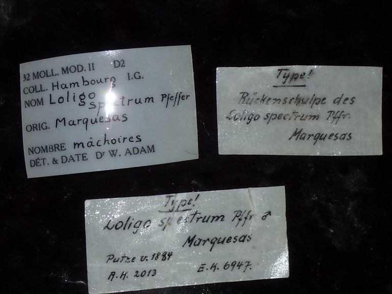 Label.JPG
