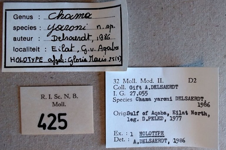 MT 425 Chama yaroni Labels