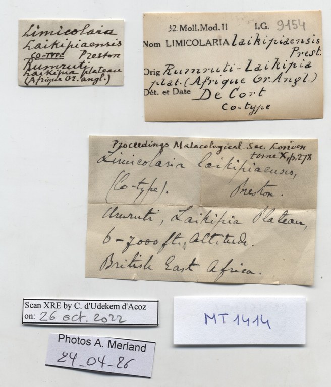 BE-RBINS-INV-MT-1414-Limicolaria-laikipiaensis-st-label.jpg
