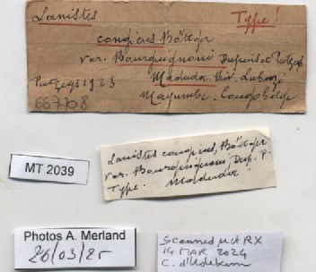 BE-RBINS-INV-MT-2039-Lanistes-congicus-bourguignoni-st-label.jpg BE-RBINS-INV-MT-2039-Lanistes-congicus-bourguignoni-st-label.jpg
