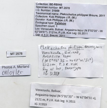 BE-RBINS-INV-MT-2578-Plekocheilus-(Plekocheilus)-philippei-pt-label.jpg BE-RBINS-INV-MT-2578-Plekocheilus-(Plekocheilus)-philippei-pt-label.jpg
