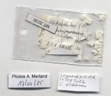 BE-RBINS-INV-MT-3236-Plekocheilus-(Plekocheilus)-sanderi-ht-label.jpg