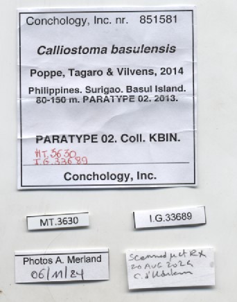 BE-RBINS-INV-MT-3630-Calliostoma-basulensis-pt-label.jpg