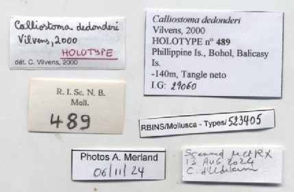 BE-RBINS-INV-MT-489-Calliostoma-dedonderi-ht-label.jpg