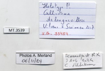 BE-RBINS-INV-MT-3539-Calliostoma-delonguevilleae-ht-label.jpg