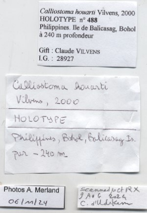 BE-RBINS-INV-MT-488-Calliostoma-houarti-ht-label.jpg