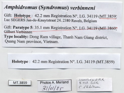 BE-RBINS-INV-MT-3859-Amphidromus-verbinneni-ht-label.jpg
