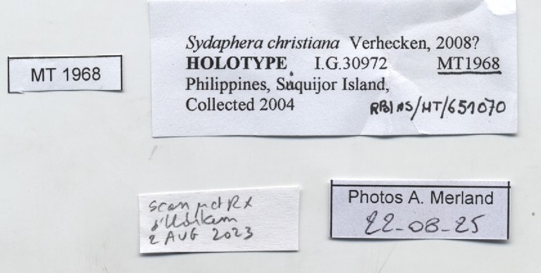 BE-RBINS-INV-MT-1968-Sydaphera-christiana-ht-label.jpg
