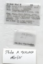 BE-RBINS-INV-MT-3190-Cerastua-flavicans-pt-label.jpg