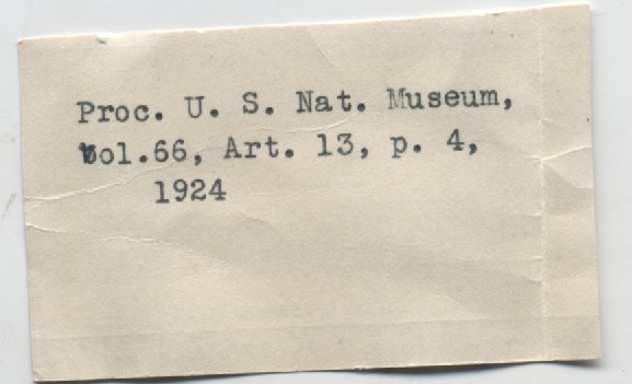 BE-RBINS-INV-MT-3768-Chilina-oldroydae-pt-label2.jpg