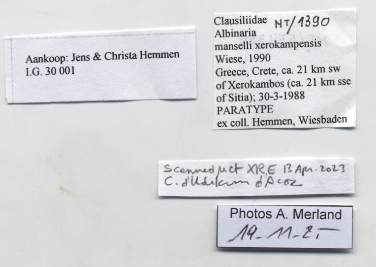 BE-RBINS-INV-MT-1390-Albinaria-manselli-xerokampensis-pt-label.jpg