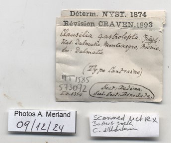 BE-RBINS-INV-MT-1585-Clausilia-gastrolepta-type-label.jpg