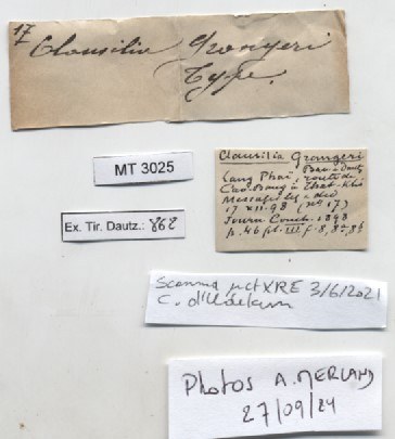 BE-RBINS-INV-MT-3025-Clausilia-grangeri-type-label.jpg BE-RBINS-INV-MT-3025-Clausilia-grangeri-type-label.jpg