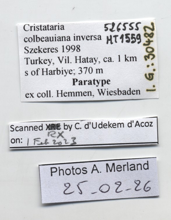 BE-RBINS-INV-MT-1559-Cristataria-colbeauiana-inversa-pt-label.jpg
