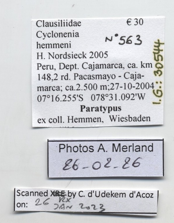 BE-RBINS-INV-MT-563-Cyclonenia-hemmeni-pt-label.jpg