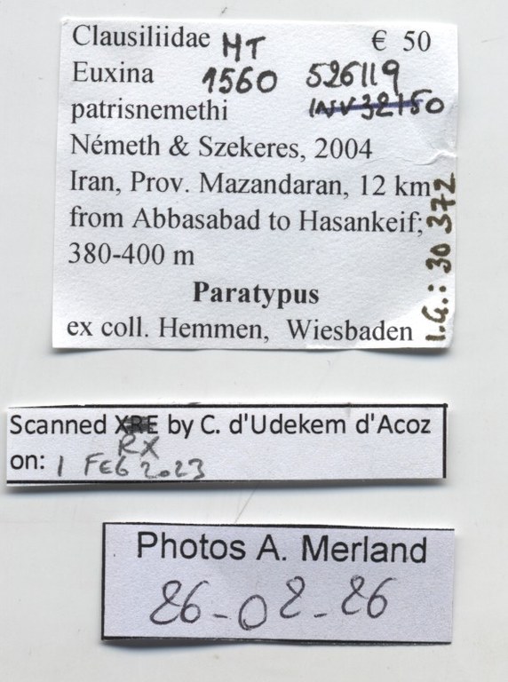 BE-RBINS-INV-MT-1560-Euxina-patrisnemethi-pt-label.jpg