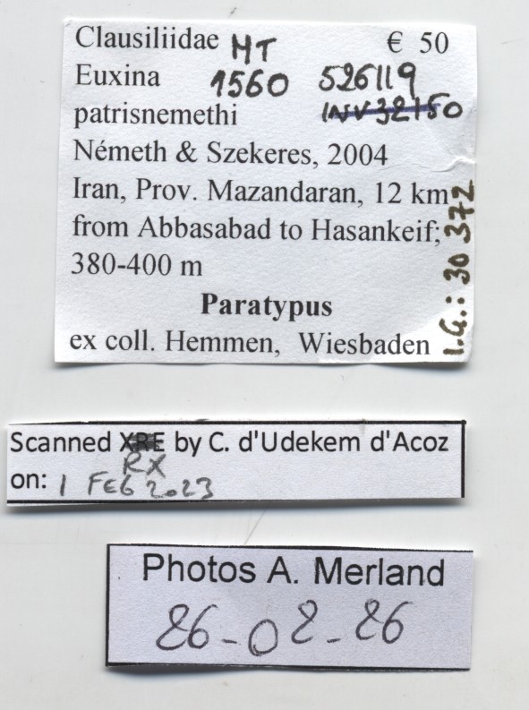 BE-RBINS-INV-MT-1560-Euxina-patrisnemethi-pt-label.jpg