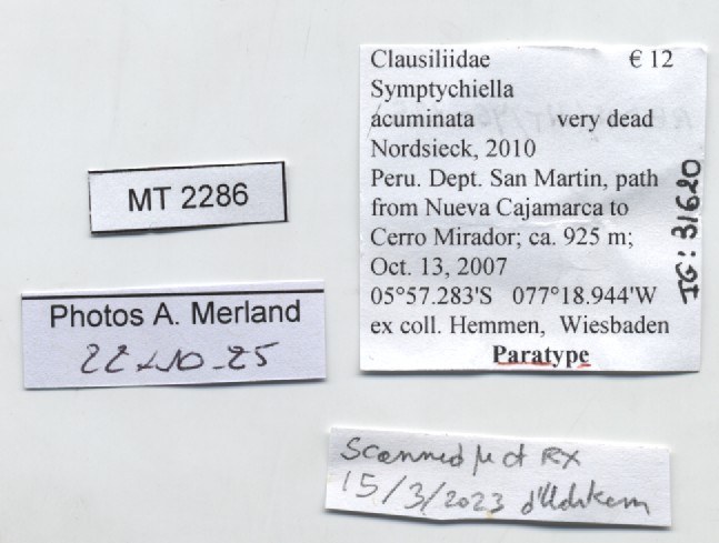BE-RBINS-INV-MT-2286-Symptychiella-(Symptychiella)-acuminata-pt-label.jpg