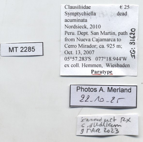 BE-RBINS-INV-MT-2285-Symptychiella-(Symptychiella)-acuminata-pt-label.jpg