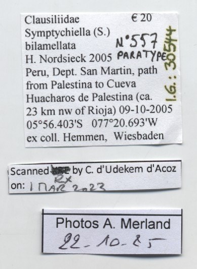 BE-RBINS-INV-MT-557-Symptychiella-(Symptychiella)-bilamellata-pt-label.jpg