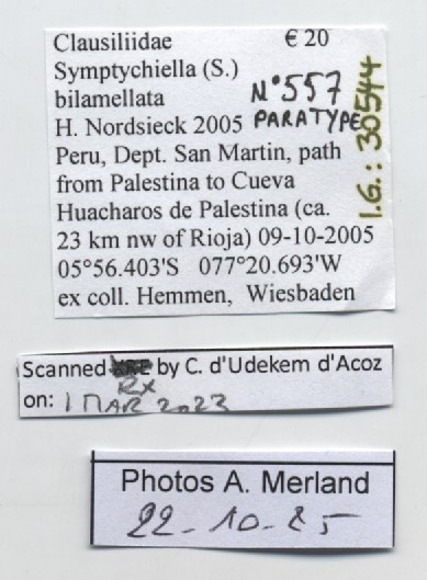 BE-RBINS-INV-MT-557-Symptychiella-(Symptychiella)-bilamellata-pt-label.jpg
